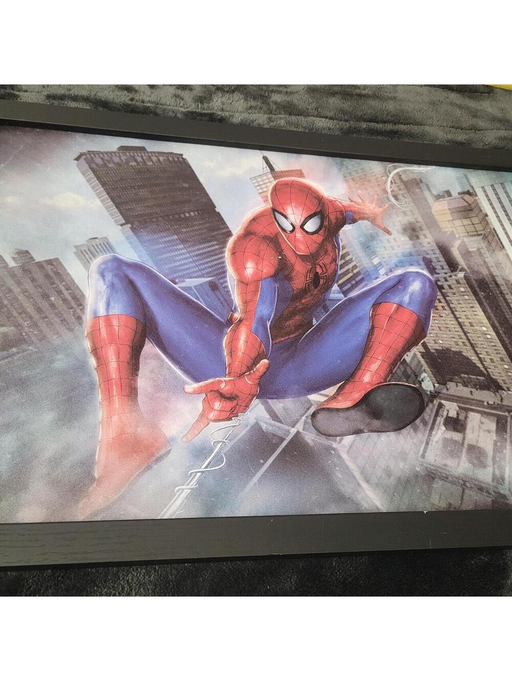 Marvel Spider-Man Framed Wall Art 12x18 Superhero Decor